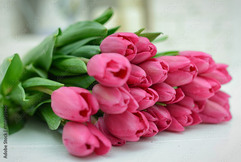 Bouquet of pink tulips on the background Bouquet of pink tulips on the background
