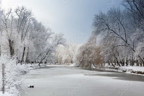 White winter landscape with fresh snow on frozen pond and trees on the lakeside