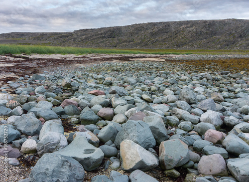Blue and pink stones on the coast of the Barents Sea, Varanger Peninsula, Finnmark, Norway