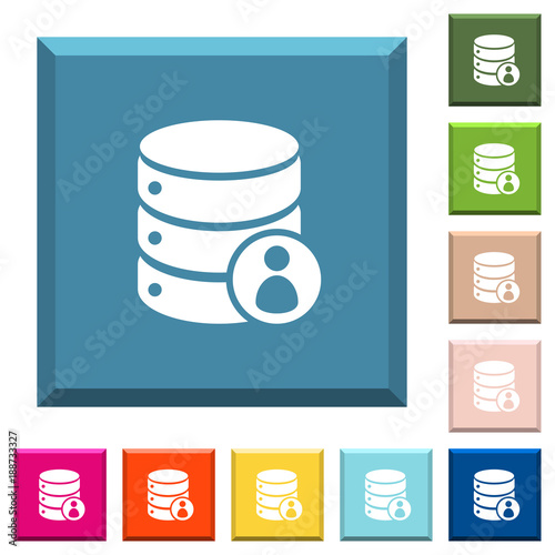 Database privileges white icons on edged square buttons