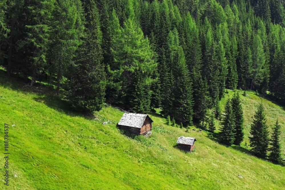Alm, Südtirol, Italien