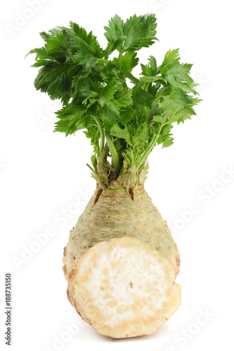 celery root with leaf isolated on white background. Celery isolated on white. Healthy food