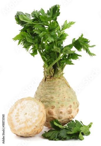 celery root with leaf isolated on white background. Celery isolated on white. Healthy food