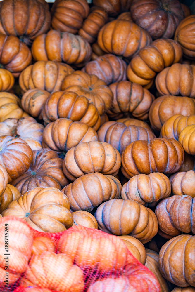 Autumn pumpkins for sale Autumn pumpkins for sale