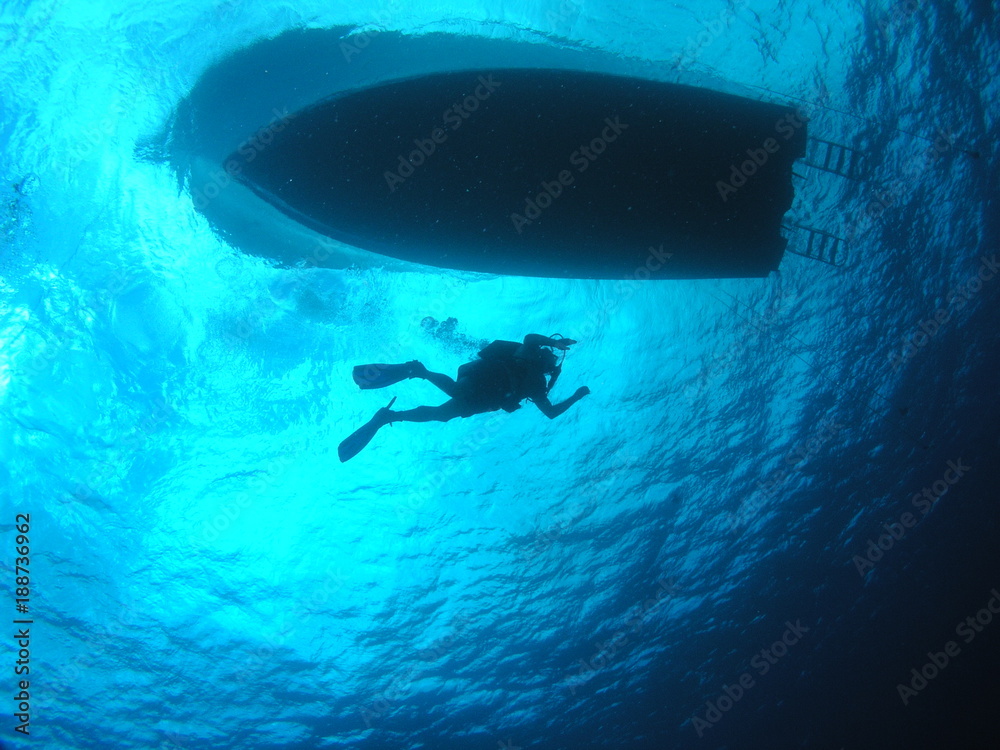 Obraz premium Diver Under Boat