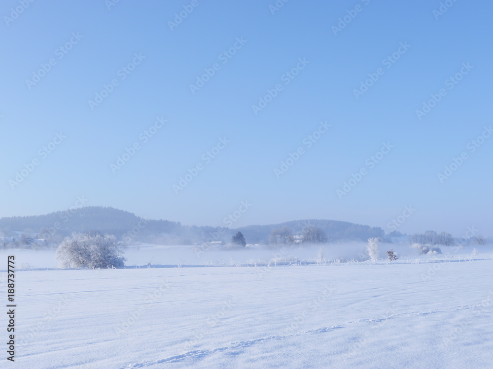 winter landscape