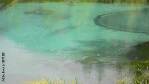 Rain drops on water. blue geyser lake in Altay mountains. Siberia. Russia.