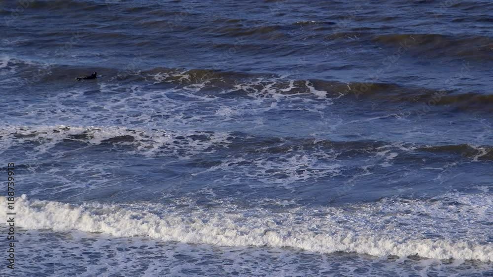 Surfer In North Sea; North Bay; North Bay, Scarborough, North Yorkshire, England Surfer In North Sea; North Bay; North Bay, Scarborough, North Yorkshire, England