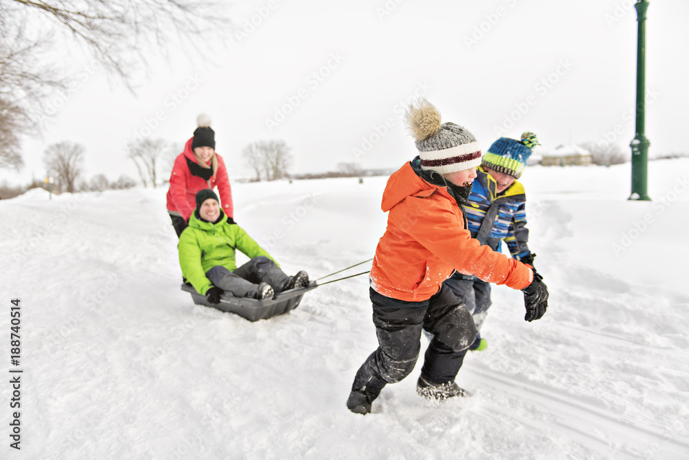 © Louis-Paul Photo - Child boy Pulling Sledge Through Snowy Landscape