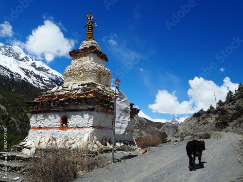 Sur les chemins de l'Annapurnas photo