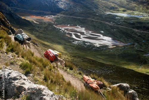 Landscape in Huayhuash photo