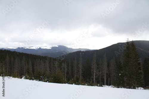 Winter landscape with snow-covered hills