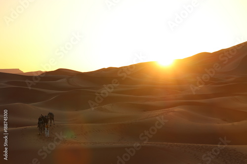 Wüste und Karawane