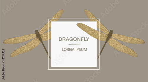 Vintage card with two dragonflies on a beige background. Template card design with a place for your text.