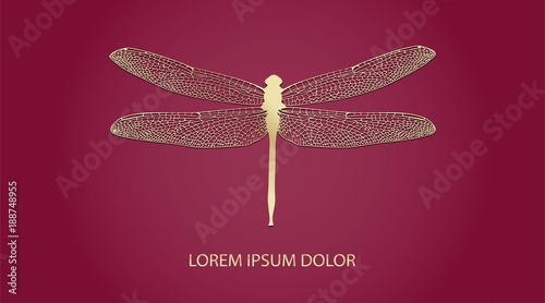 Vector logotype for jewelry boutique, store, shop. Elegant gold dragonfly silhouette at Bordeaux red background. Outline of dragonfly. Can be used for postcard, print, logo, poster, label.