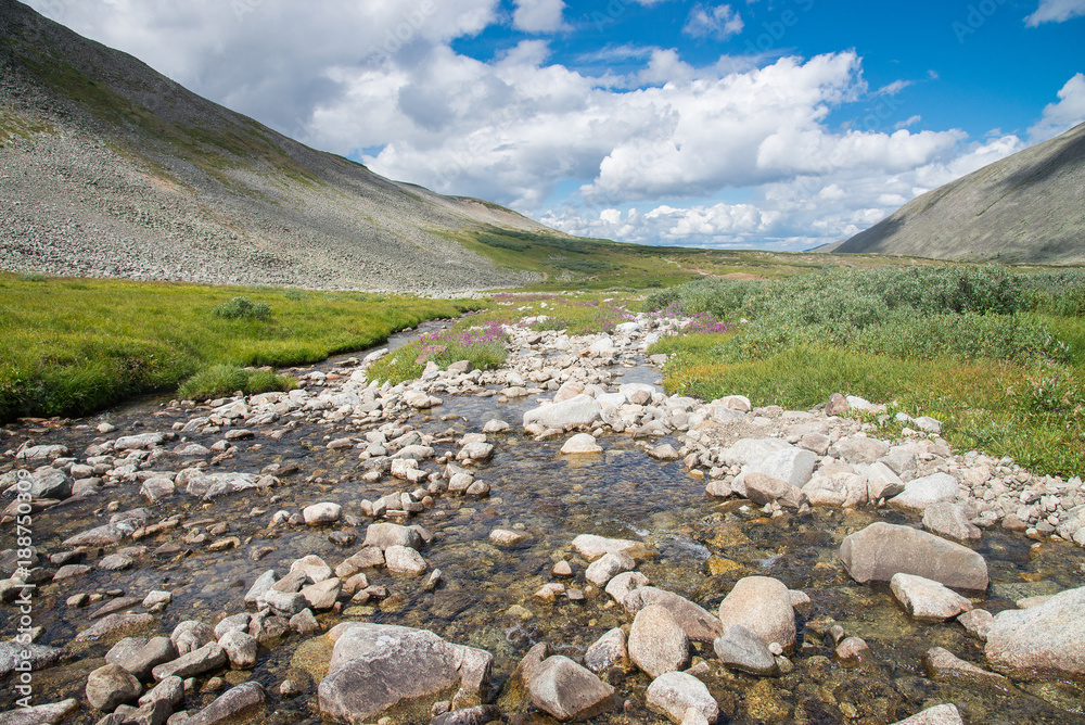 Obraz premium River in mountain valley blue cloudy sky at background. Natural summer landscape, Russia, Eastern Sayan mountains.