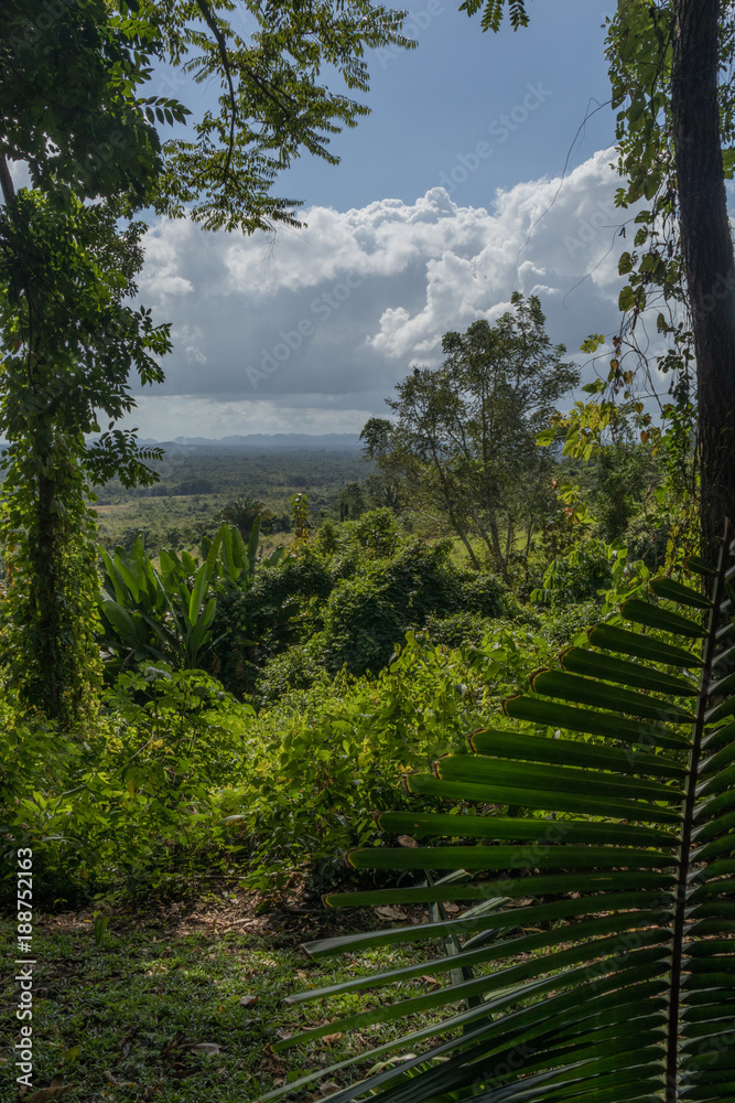 Hiking trail in Belize overlooking a valley Hiking trail in Belize overlooking a valley