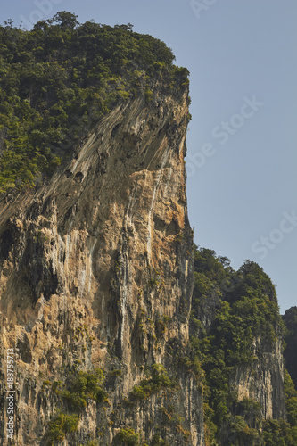 Cliff face in early morning, Railay Beach, Krabi Provence, Thailand