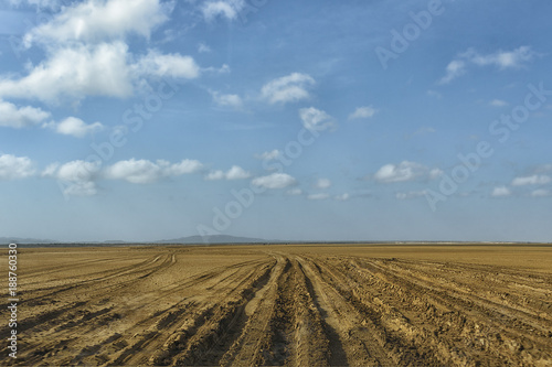 Path on a desertic landscape