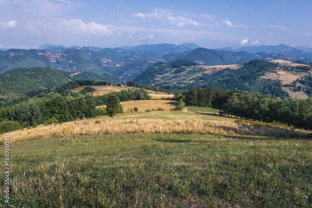 Mountain meadows near Sirogojno village in Zlatibor area in Serbia