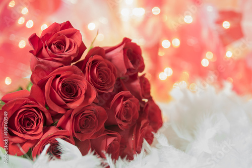 Dozen red roses Valentines Day or love romantic gift with white feathers soft bokeh