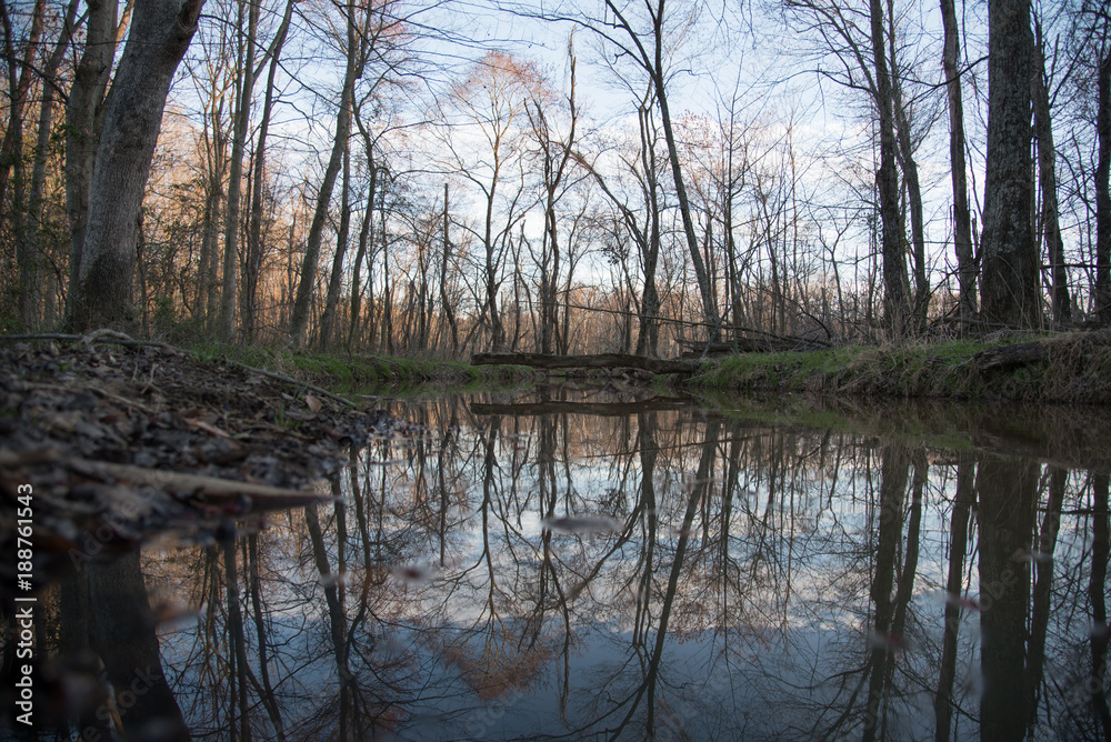 reflection pond