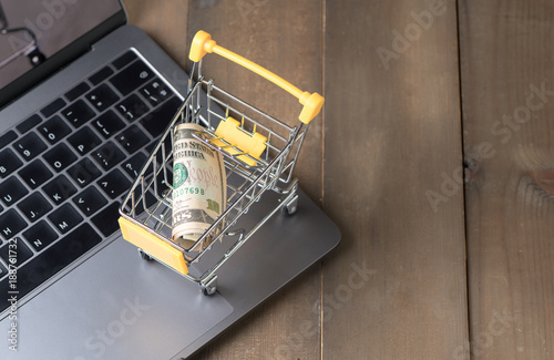 Money Dollar Cash Banknote in Trolley Shopping Cart