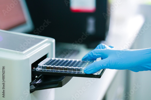 ELISA plate to measure OD with microplate reader.