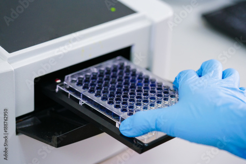 ELISA plate to measure OD with microplate reader. photo