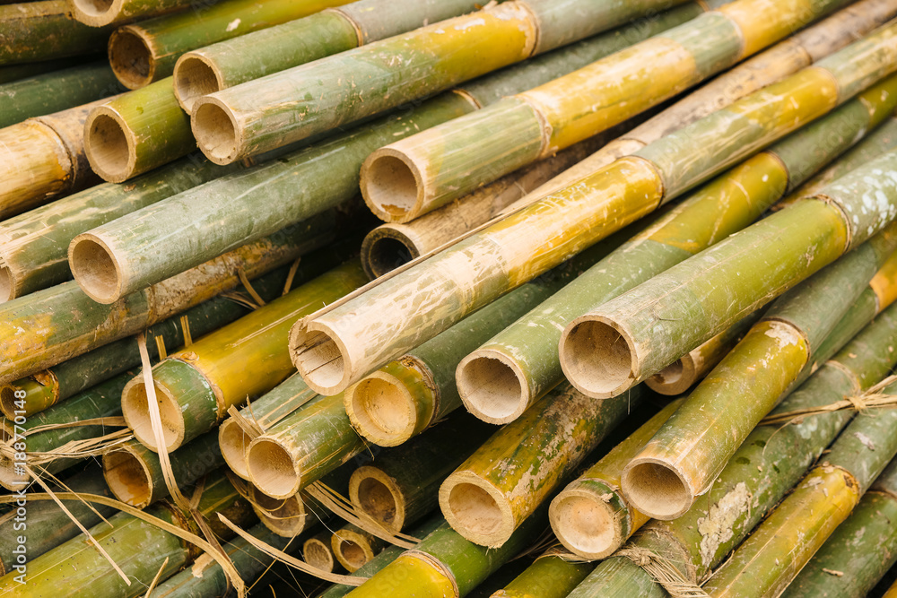 Pile of cutting bamboo. Asian building material. Pile of cutting bamboo. Asian building material.