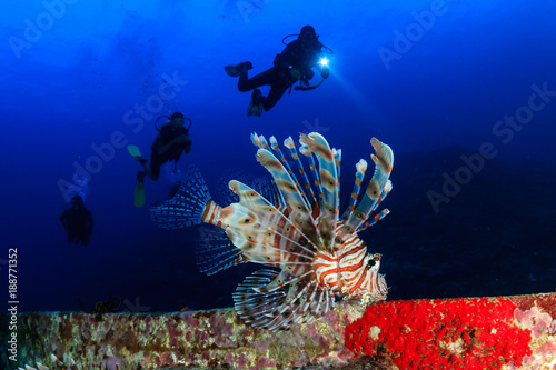SCUBA divers and a lionfish on a tropical coral reef
