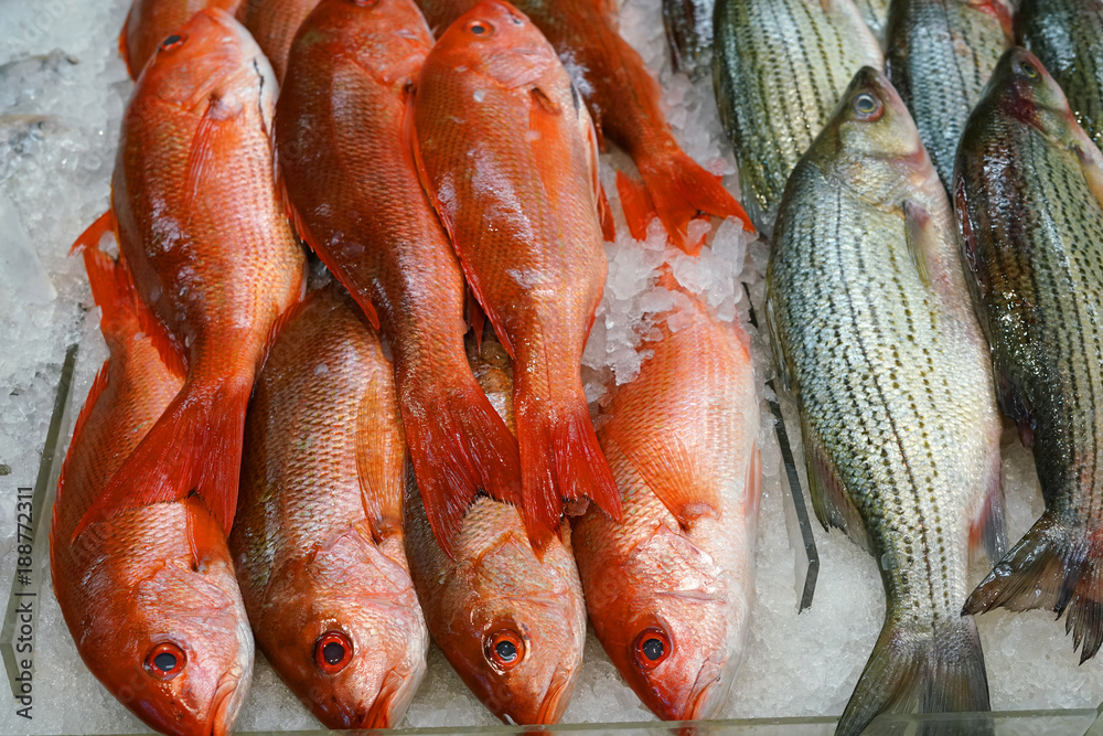Fresh frozen fishes on the ice in the retail store Fresh frozen fishes on the ice in the retail store