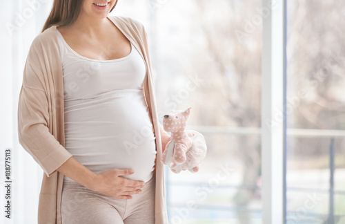Pregnant woman with cute to...