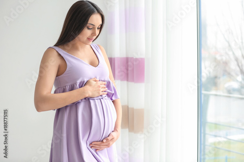 Beautiful pregnant woman st...