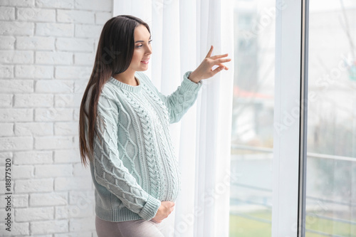 Beautiful pregnant woman st...