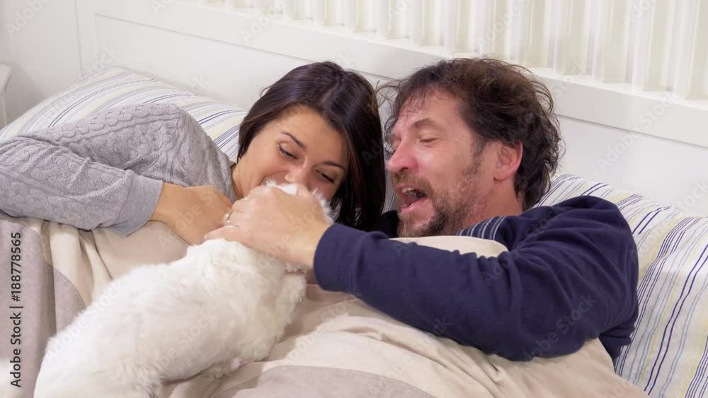 Husband and wife playing in bed with little puppy maltese dog 4K slow motion Husband and wife playing in bed with little puppy maltese dog 4K slow motion
