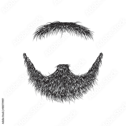 Realistic Beard  isolated on white background vector illustration.