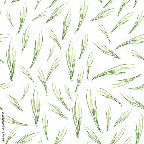 Watercolor seamless pattern, background. With a floral pattern. Green wild grass, branch, plant. On white isolated background.