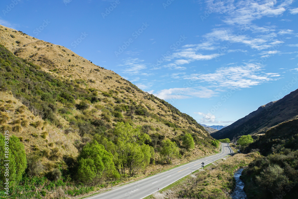 concrete road along green hills in New Zealand for road trip
