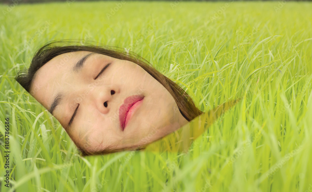 women sleep with rice farm back ground women sleep with rice farm back ground