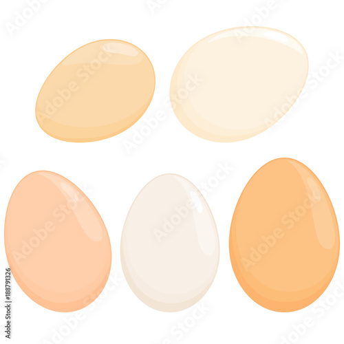 Eggs in various shapes and colors. Vector illustration