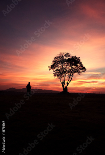 Silhouette Man Walk to Big Tree and Mountain Landscape among Colorful Sky Sunset