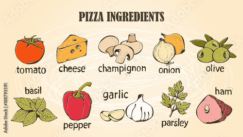 Pizza ingredients vector set, hand drawn food collection