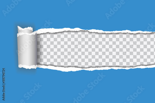 Vector realistic illustration of blue torn paper with rolled edge