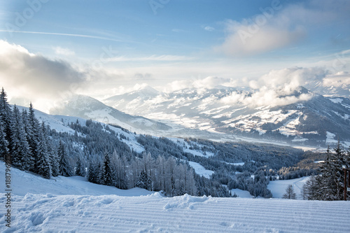 Winter forest in Alps © rilueda