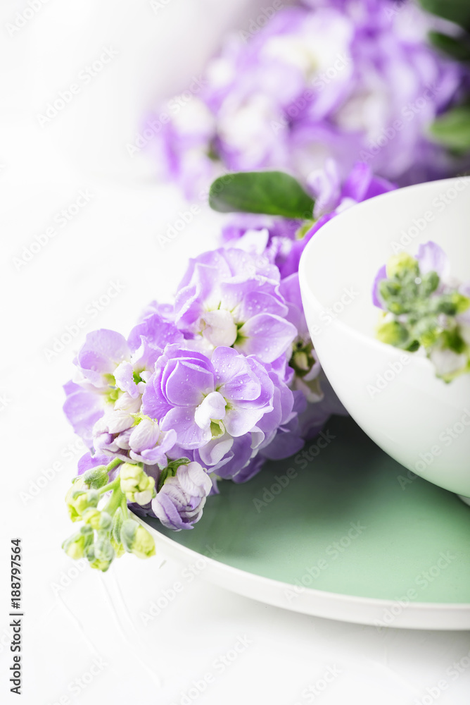 Beautiful spring flower on the white table
