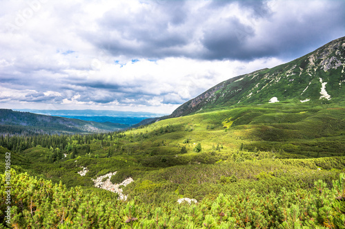 Landscape of green mountain forest, panoramic view © alicja neumiler