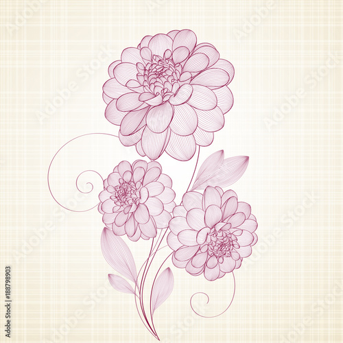 Fototapeta Naklejka Na Ścianę i Meble -  Hand-drawing floral background with flower dahlia. Element for design. Vector illustration.
