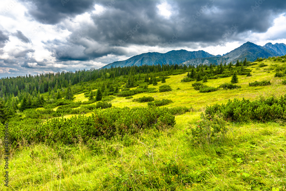 Mountain landscape of nature with green meadow, hills covered fresh grass at spring, mountains scenery in Carpathians, Tatra National Park in Poland