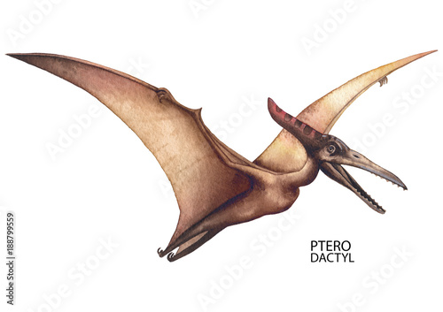 Realistic watercolor dinosaur